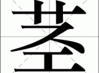 急需知道“茎”字怎么读？“茎”字的拼音和组词是什么？