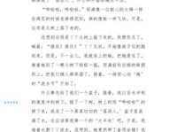 泼水节（小学四年级叙事作文400字）