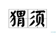 猬怎么读？猬怎么念？猬的拼音是wèi，还有哪些词语包含“猬”字呢？