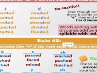 melted是什么意思？melted怎么读？melted例句及用法