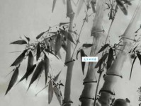 竹坞无尘水槛清，相思迢递隔重城。