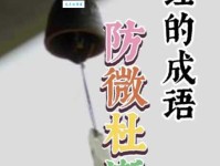 防微杜渐的意思解释、造句、出处典故、成语接龙