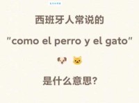 COMO是什么意思_COMO是什么英文的缩写