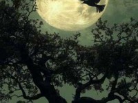 旧时茅店社林边，路转溪桥忽见。