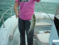 睡眼惺忪意思解释及典故