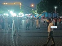 若即若离的意思：情感中的微妙距离