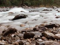 盛楚慕：名字的美学与五行吉凶分析