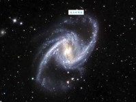 张蓝艺：五行与姓名学的和谐之美