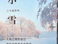 小雪节气暖心走心文案(你最想收到什么暖心的礼物)