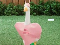 呆头鹅是什么意思