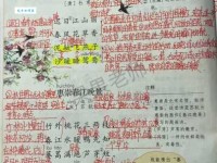 冉冉是什么意思？它的近义词有哪些？例句分析