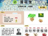 落花生打一成语