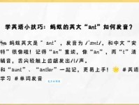 ant是什么意思 蚂蚁的英文怎么说你知道吗