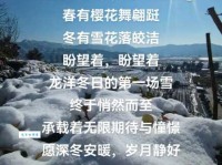 瑞雪兆丰年的意思和来历 这个说法靠谱吗