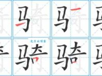 汉字“骑”的读音、意思、用法、释义、造句