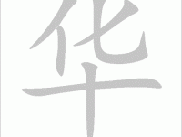 华组词 解答华组词有哪些与华的笔顺怎么写！