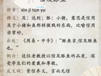 “信及豚鱼”是什么意思？带你轻松掌握这个少见的成语