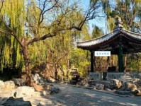 水木清华是什么意思？详解典故及清华园美景