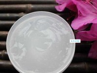 飞扬跋扈意思解释及典故