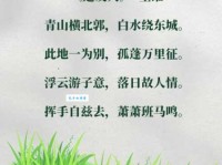 古诗词里描写草原的句子有哪些？带你领略草原风光