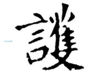 护字组词造句精选