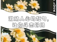 什么是斗志昂扬？斗志昂扬的详细解释和用法