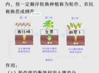 庄稼是什么意思？看完这篇就懂基础知识了！