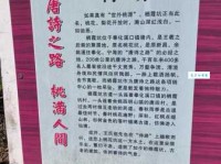 深幽是什么意思？带你了解深幽的词义和例句