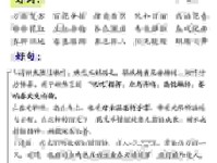 春色满园的意思是什么意思？简单易懂的释义分享