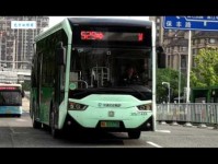 神采奕奕是什么意思