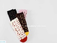 树立的意思：信念的力量与成长的轨迹