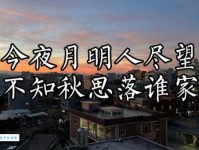 今夜月明人尽望，不知秋思落谁家。