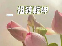 “扭转乾坤”的含义是什么？简单易懂的解释