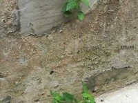 绝处逢生是什么意思(  怎样才能抓住那一线生机)