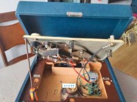 马不停蹄是什么意思：生命中的无尽奔腾