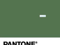 罔水行舟什么意思：于虚幻之境探寻人生真谛