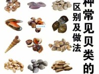 分贝是什么意思？日常生活中分贝的应用场景