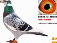 王瑛瑛名字评分与五行吉凶解析