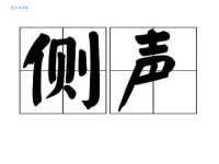 声是什么意思