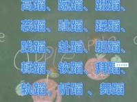 “蹈”字究竟怎么读？“蹈”字的拼音是什么？附带“蹈”字的组词和例句详解。