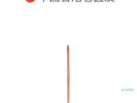 不敢苟同是什么意思：表达异议背后的深思与尊重