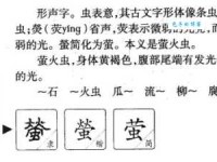 萤组词_萤字组词