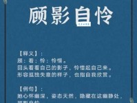 顾影自怜的意思