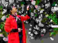 满脸生花什么意思怎么理解？新手看完这篇就明白了