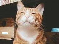 钻冰求火是什么意思：一种徒劳无功的追求