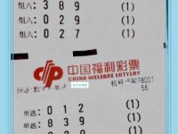 鸥字取名吉凶鸥字解释意思及成语大全