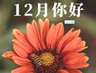 告别11月你好12月：12月份适合发朋友圈的句子