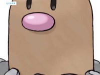 开门揖盗的意思：解读这一成语背后的警示意义