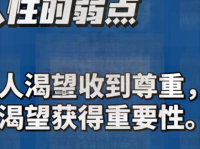 虚堂悬镜：公正审理的智慧与洞察