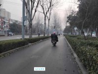 水木清华是什么意思：诗意栖居的理想境界